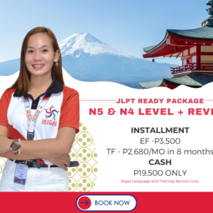 N5 & N4 LEVEL + REVIEW